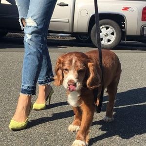 Meet your Posher, Taba